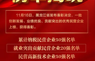 喜报|龙江表彰优秀民营企业 宝泰隆收获两项殊荣