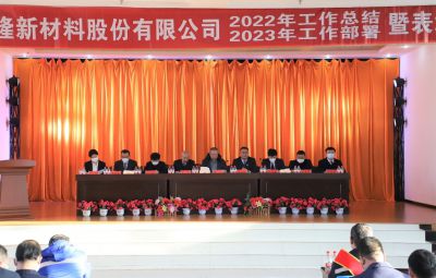 破浪逐新 奋进未来|宝泰隆2022年度总结暨表彰大会隆重举行