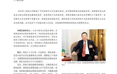 打破传统走绿色转型之路——访十四届全国人大代表、宝泰隆新材料股份有限公司董事长焦云